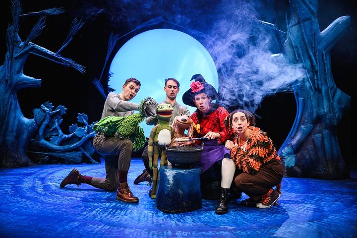 Room on the Broom Live on Stage